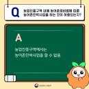 진흥민박 이미지