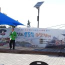 진도울돌목주말장터 이미지