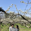 왕지3길 이미지