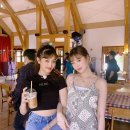 수진 이미지