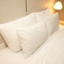 호텔더브라운 이미지