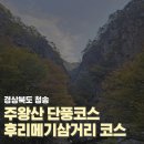 GS25 미아삼거리점 | 경북 청송 주왕산 국립공원 11월초 단풍상황 초보 등산코스 시간 난이도