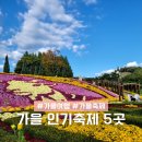 유등농장 | 9월 10월에 가볼만한 국내 인기 가을 축제 5곳 추천