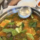 배나무집툇골오리 | 진주성 근처 맛집 감나무집에서 오리수육, 오리뼈탕 먹고 온 후기