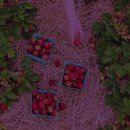 정스테이 이미지