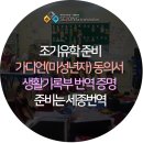 세종번역 이미지