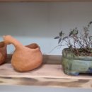 태창약국 이미지