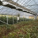 석인농장 이미지