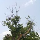 추억여행 7080라이브까페 이미지