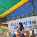 행운동-23 이미지