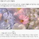 2호 기사 (수정) - 이소현 이미지