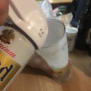 핸디하우스(HANDY HOUSE)