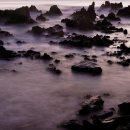 꿈꾸는 바다 이미지