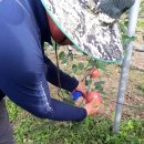 태산농장2 이미지