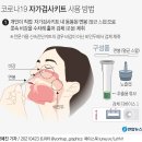 3월 14일부터 적용되는 코로나19 진단 검사 방법 (부제: 전문가용 신속항원검사 vs. 자가검사키트) 이미지