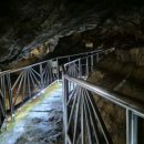 장애인 평생교육 청춘 영동 홈런 | 🌌 강원도 태백 용연동굴: 지하 미지의 세계로의 환상적인 여행 ✨