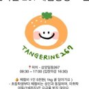 텐저린267