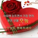 16개 꼭 배우고 할꺼 배울수 있길 이미지