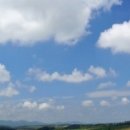 완소곱창 이미지