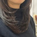 숱,컷 | 성신여대미용실 주차가능한 앙비떼살롱 숱 많은 여자머리 레이어드컷 후기