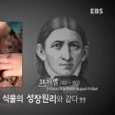 자연과아이들 이미지