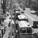 버스정류장(태극당 앞) 이미지