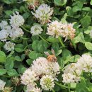 또르막 | 울산대공원에서 길 잃고 등산하고 온 후기,,🥹[+건강획득]