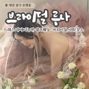 루나악세사리 | 대전 셀프웨딩·브라이덜샤워 파티룸 추천 │ 드레스 무료 대여 '브라이덜 루나' 후기