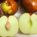 유한농장 이미지