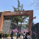 봄날애견 이미지