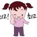 체크인독 이미지