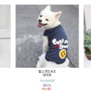 필 소 굿 이미지