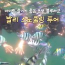 젊은열대어 | 발리 여행 스노쿨링 초보 아이랑 즐기기 좋은 블루라군 투어