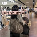 언니들의명품옷화장품이례원 | 고야드 생루이 GM 명품 빅백 실사용 후기 이너백 넣지마세요