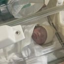 서유환 | 2024.1.1. 또다른 시작, 어른이 되는걸까(쌍둥이 출산기록)