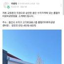 한국아로마교육원 이미지