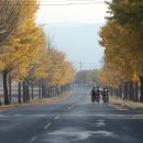 스마트폰강좌 | 시연갤러리 스마트폰 촬영강좌