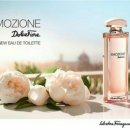 이모지오네 이미지