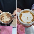 라떼아트 야간 이미지