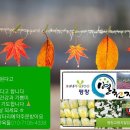 염농장 이미지