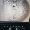 대성오토서비스 이미지