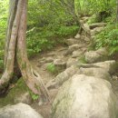 토지장터 이미지