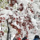 북한산 많은 눈으로 인한 입산금지 통제 이미지