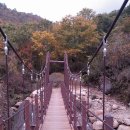 경호탕 Daum카페