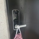 대정호수 | 제주 서귀포 대정 숙소 추천 모슬포 곶자왈 산방산 근처 조식 무료 제공 가성비 펜션 제주 수월이