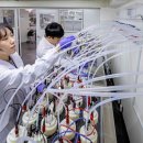 나라안전기술원 이미지