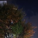 신방화역 2번출구 이미지