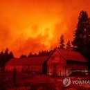 (주)모든 이미지