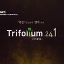 건축사사무소 리움 이미지