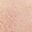 문헌공원 이미지